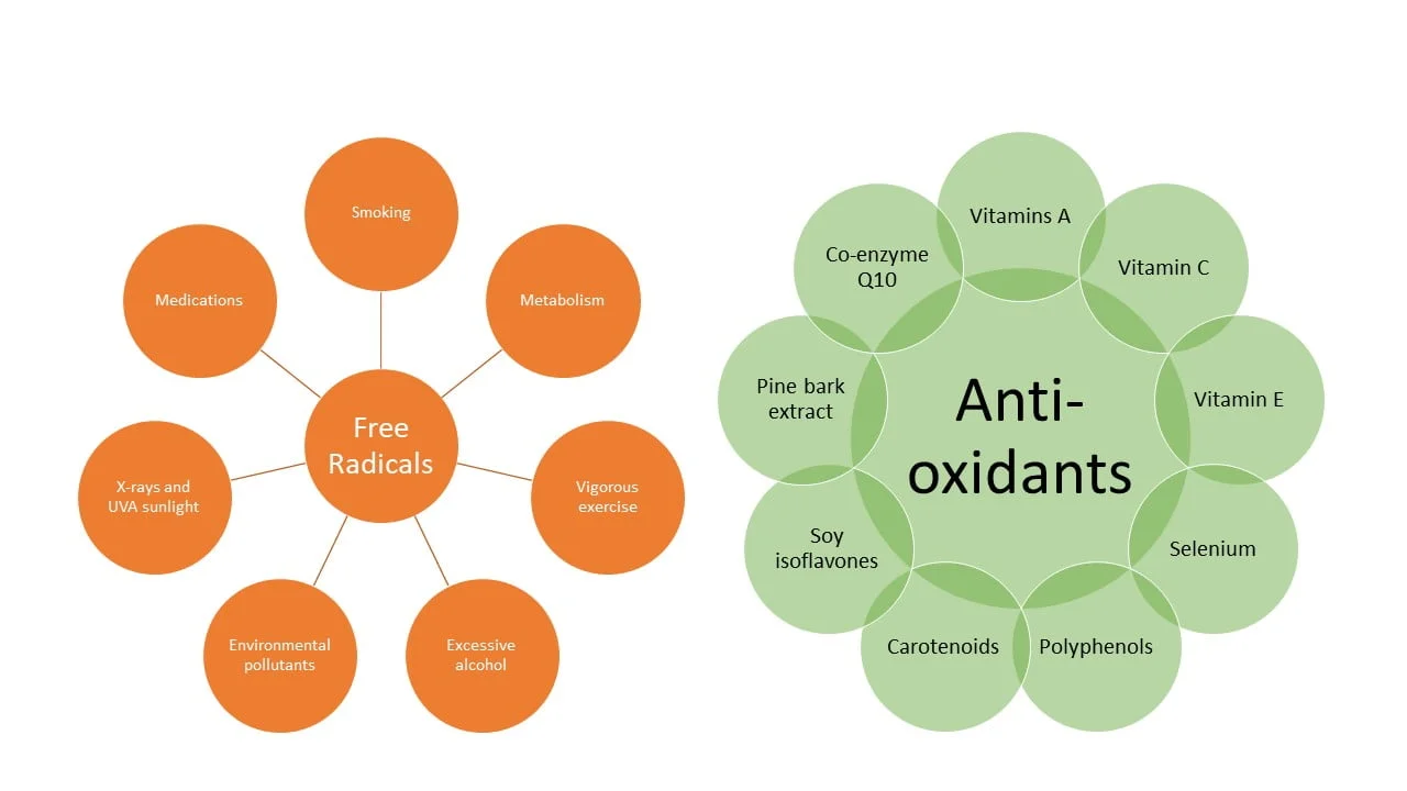ラディカルズ　Radical Free Addiction Radicals Free Radicals (Antioxidant Friday Five Series Part 1)