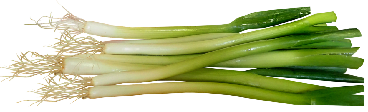 spring-onions-3678921_1920 Spring onions